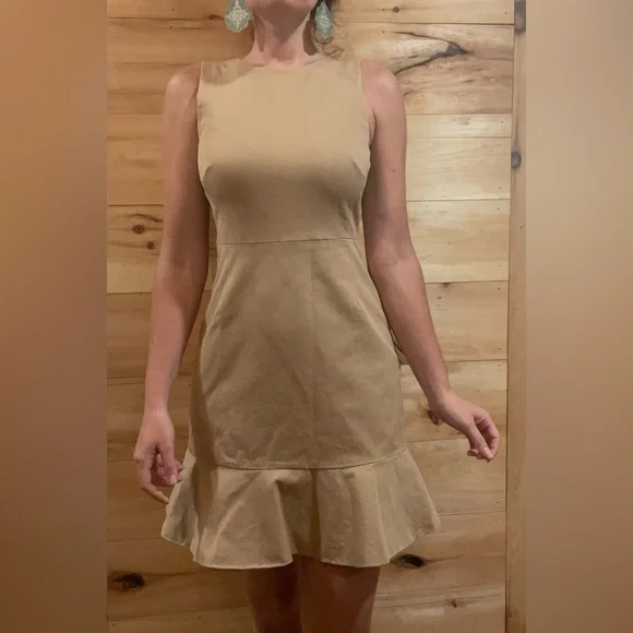 J. Crew Tan Stretchy Dress Size 4P. - Picture 3 of 10